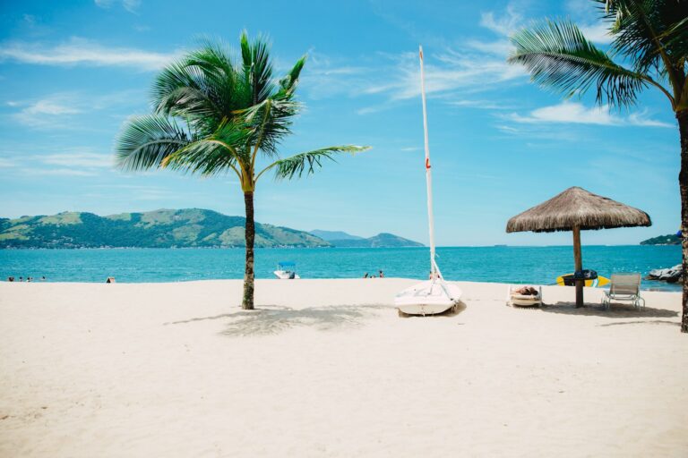 Praia de areia branca com coqueiros e mar azul